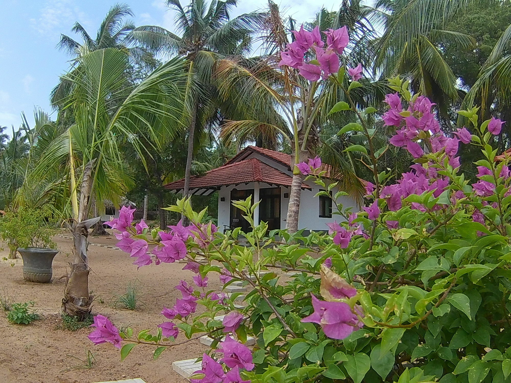Chillenjoy Cabanas & Restaurant Tangalle Luaran gambar